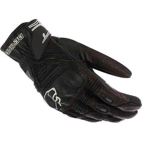 Bering Gants Rift