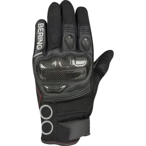Bering Gants Raid